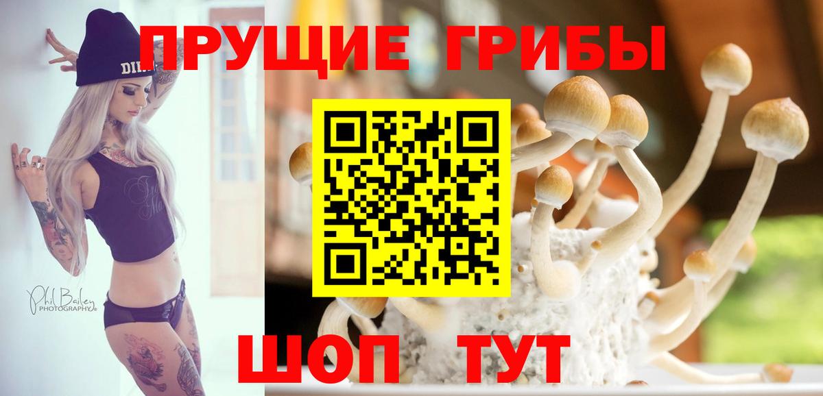 Галлюциногенные грибы мухоморы  Вход с VPN  Галлюциногенные грибы Magic Shrooms  Будённовск 